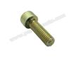 Vis pour fixation griffe de reservoir # 911 69-72