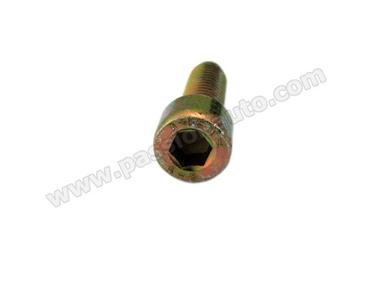 Vis pour fixation griffe de reservoir # 911 74-89