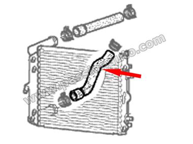 Durite d´eau en bas (retour) du radiateur AVG # 996 carrera  (sauf 4s) - 996 gt3